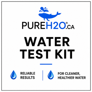 Sulfide Water Test Kit